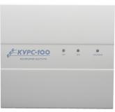  - Сибирский арсенал Курс-100, вариант 1, версия 4