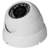  - AltCam DDF21IR